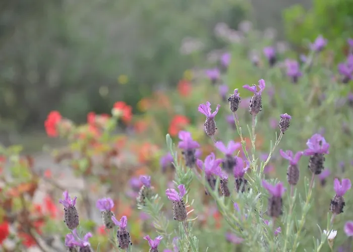 Feriepark Maora Village 3*