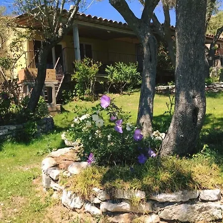 Maora Village Tatil parkı