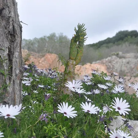 Tatil parkı Maora Village