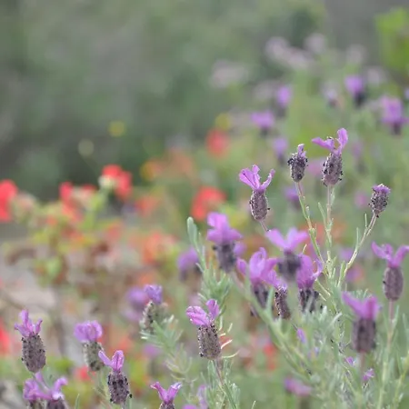 Semesterpark Maora Village 3*