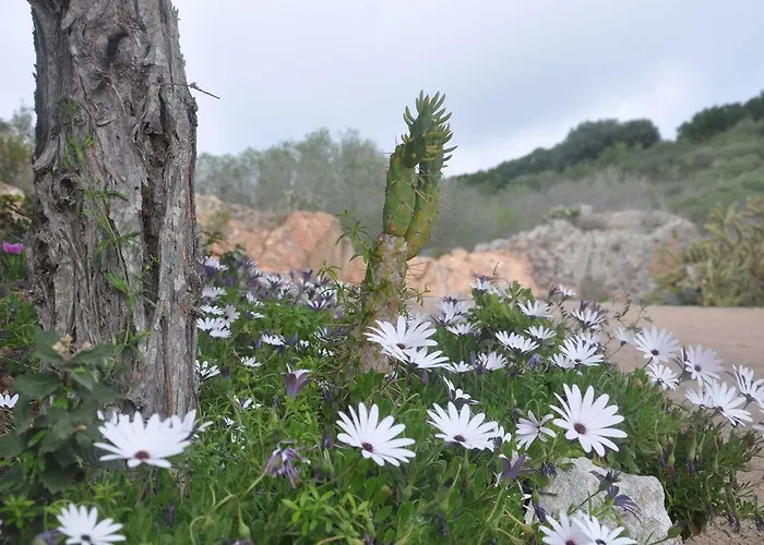 Parco vacanze Résidence Maora Village