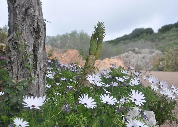 Holiday park Maora Village